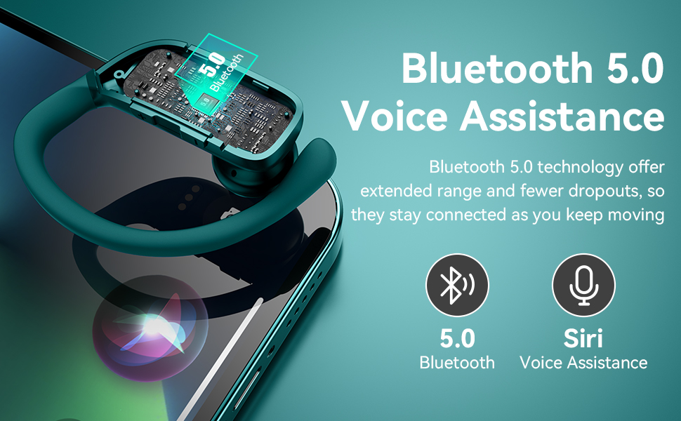 Bluetooth 5.0 & Voice Assistant