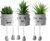 Zerzsy 3 PCS Creative Artificial Succulent Plants with Grey Pots, Mini Potted Succulents Decor for Home Decor…